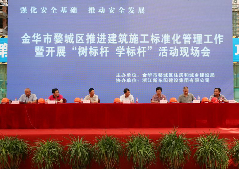 浙江新東陽建設(shè)集團有限公司